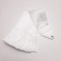 Лента 5 м CHACOTT Одноцветная FIG (000.White)